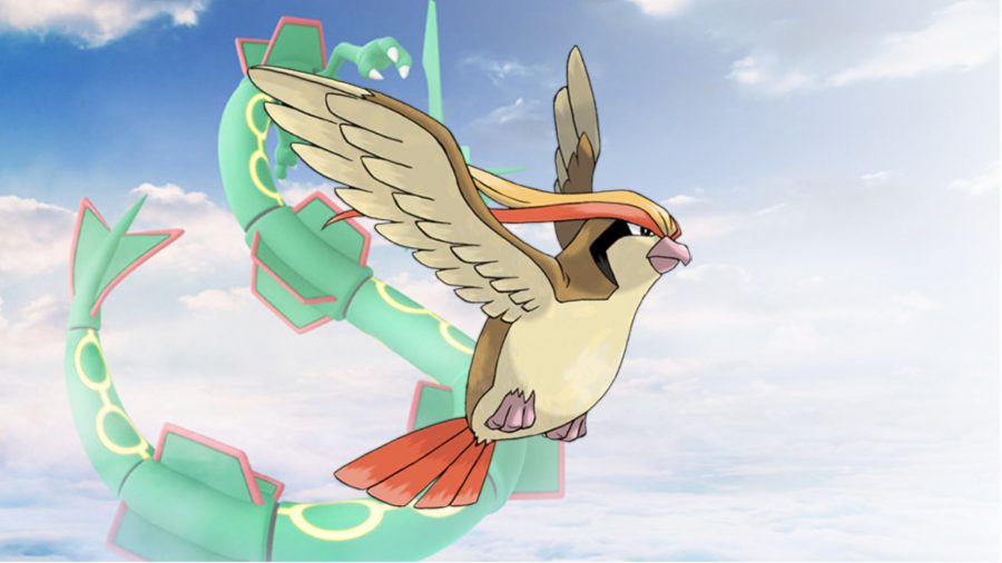 Pidgeot Pokémon volador