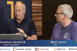 Hendrick y Jarvis analizan la seguridad del software
