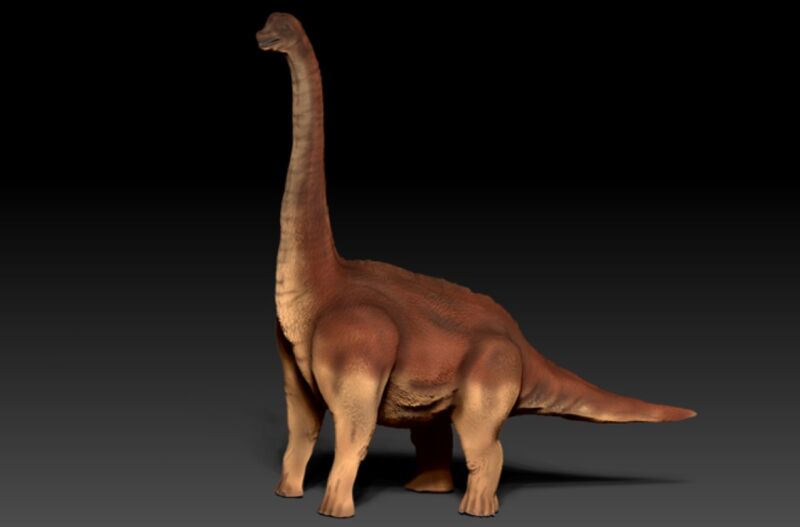 Una paleorreconstrucción en 3D de un dinosaurio saurópodo reveló que las patas traseras tenían una almohadilla de tejido blando debajo de las patas traseras 