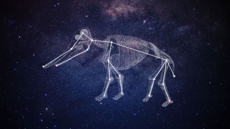 Un mastodonte visto como una constelación en el cielo nocturno.