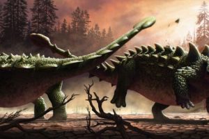 Un nuevo hallazgo sugiere que los garrotes de la cola de los anquilosaurios se usaron para golpearse entre sí