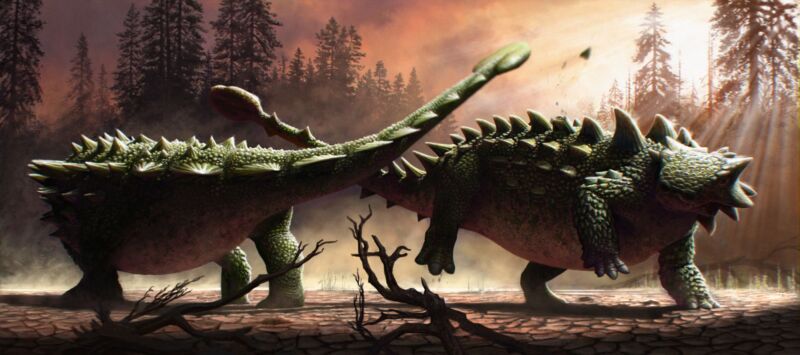 Imagen de dos dinosaurios rechonchos dando vueltas uno al otro, moviendo la cola.