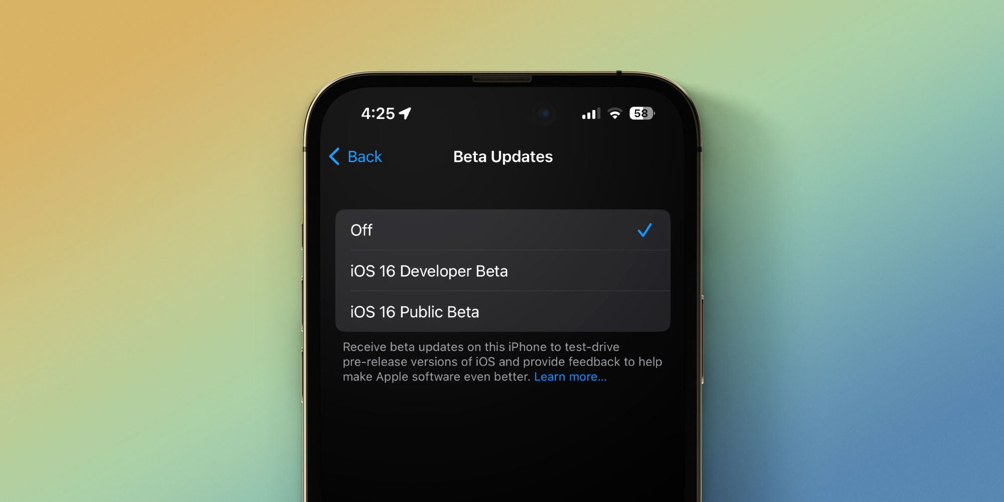 Habilite las actualizaciones beta de iOS en Configuración