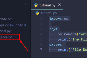 Eliminar el archivo de Python si está presente