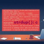 Función Strdup() en lenguaje C